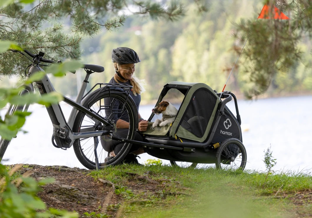 Remorque pour Chien Vélo