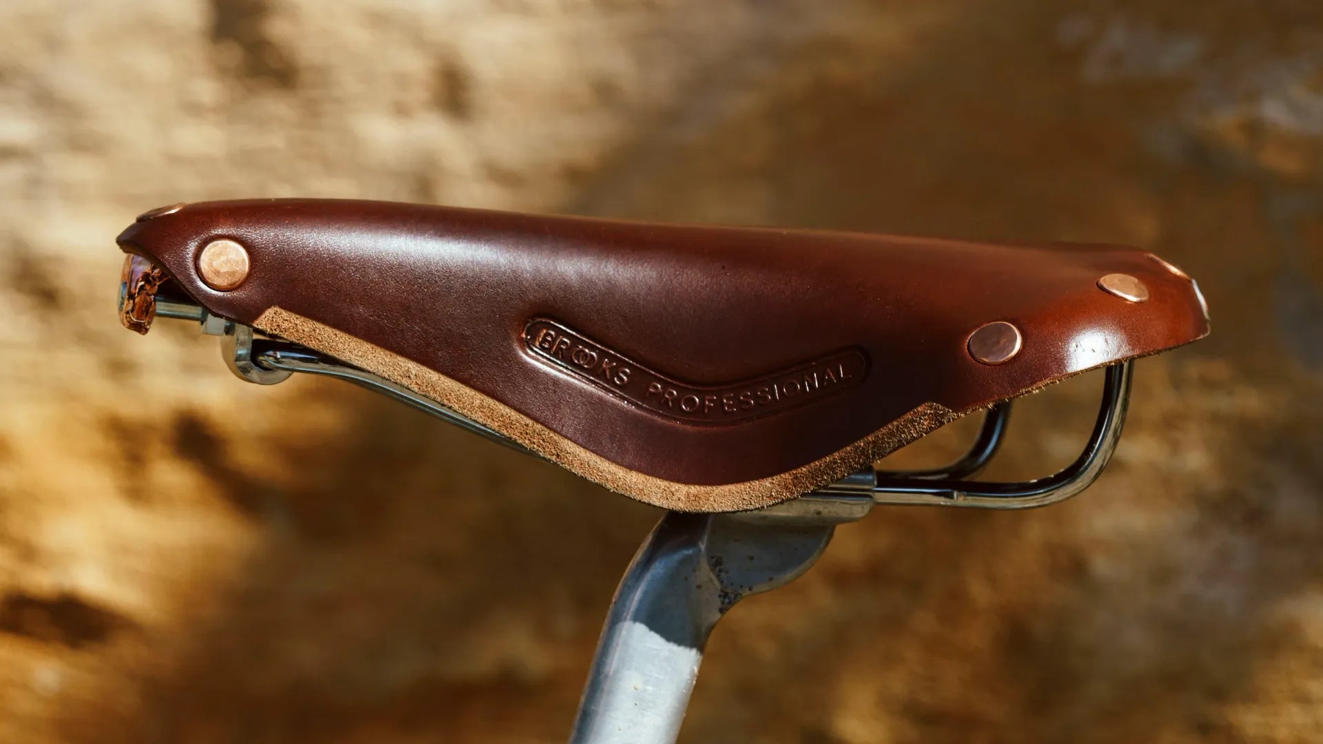 Nos selles de vélo