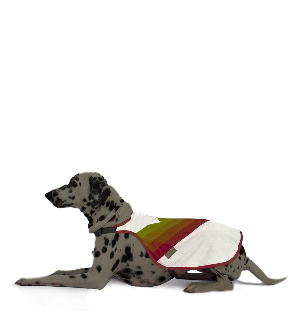 GoFluo Hundeweste – Luna
