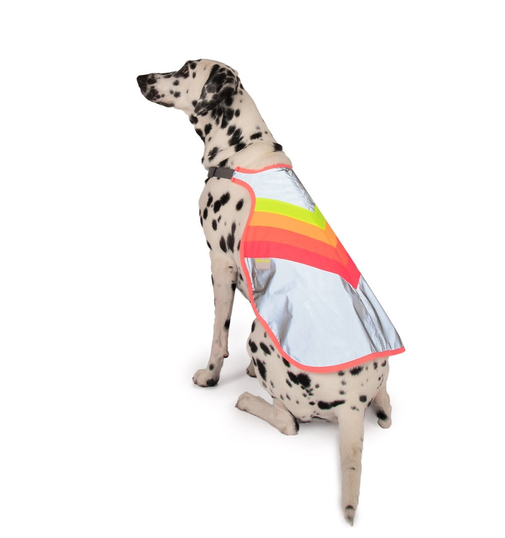 GoFluo Hundeweste – Luna