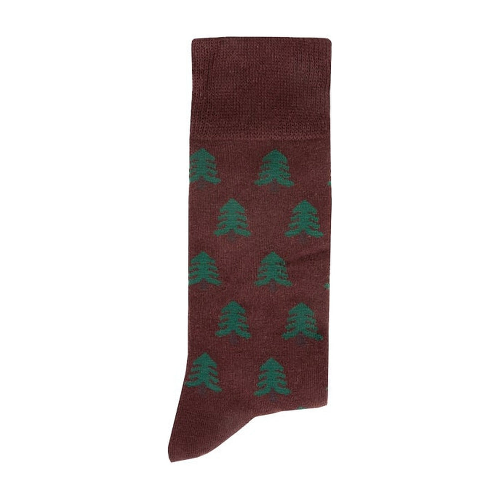 chaussettes-faguo-socks-x3-lot-de-3-paires-vert-eau-bordeaux-2