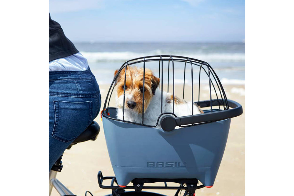 Grille de protection Buddy Basil – Dome Acier Space Frame