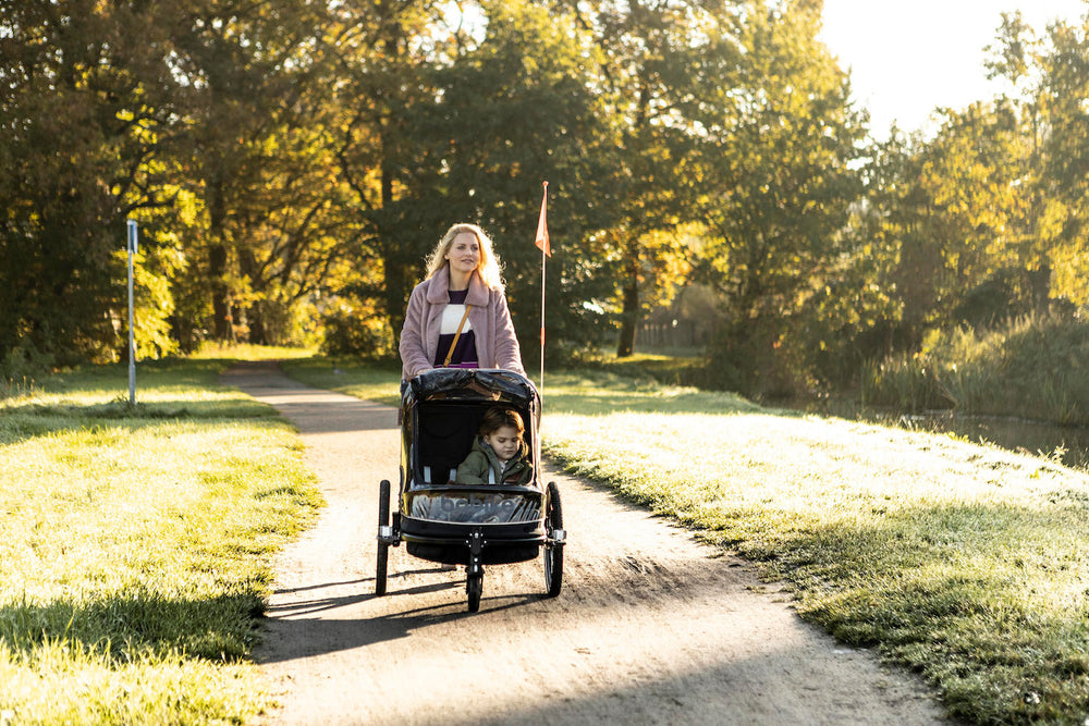 Cargo Trailer Kinderwagen 2-in-1 Bobike